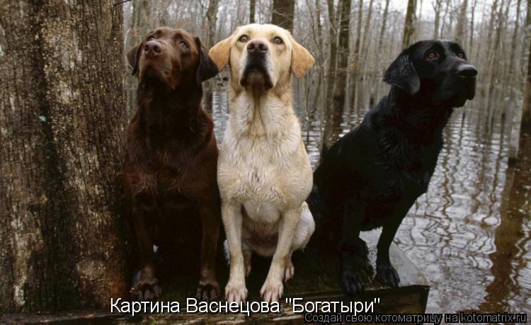 Котоматрица: Картина Васнецова "Богатыри"