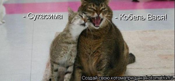 Котоматрица: - Сукасима - Кобель Вася!