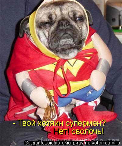Котоматрица: - Твой хозяин супермен? - Нет! сволочь!
