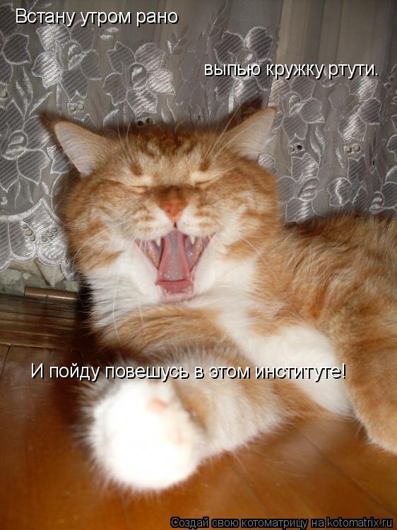 Котоматрица: Встану утром рано выпью кружку ртути. И пойду повешусь в этом институте!