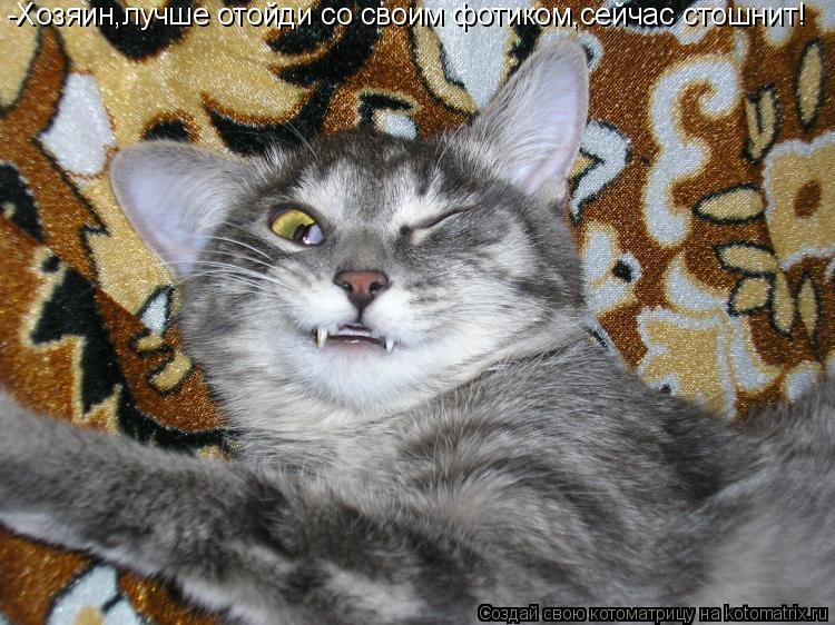 Котоматрица: -Хозяин,лучше отойди со своим фотиком,сейчас стошнит!