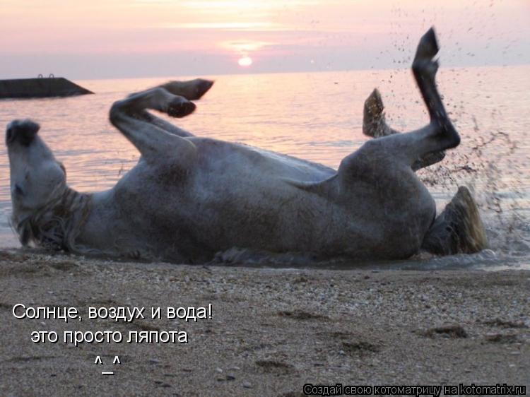 Солнце, воздух и вода! это просто ляпота ^_^ ^_^... Котоматрица: Солнце, воздух и вода! это просто ляпота ^_^ ^_^