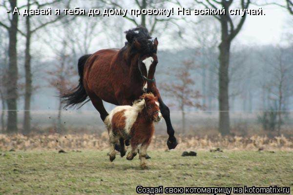 Котоматрица: - А давай я тебя до дому провожу! На всякий случай.