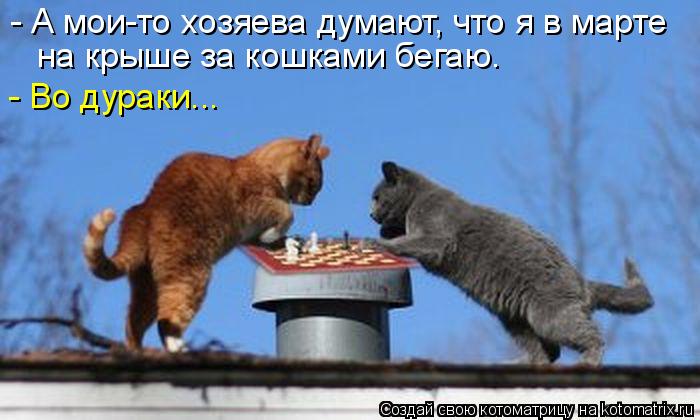 - А мои-то хозяева думают, что я в марте на крыше за кошками бегаю. - Во дураки...... Котоматрица: - А мои-то хозяева думают, что я в марте на крыше за кошками бегаю. - Во дураки...