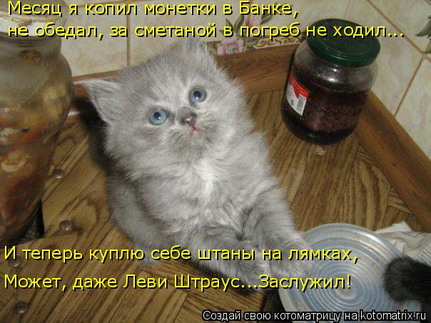 Котоматрица: Месяц я копил монетки в Банке, не обедал, за сметаной в погреб не ходил... И теперь куплю себе штаны на лямках, Может, даже Леви Штраус...Заслуж