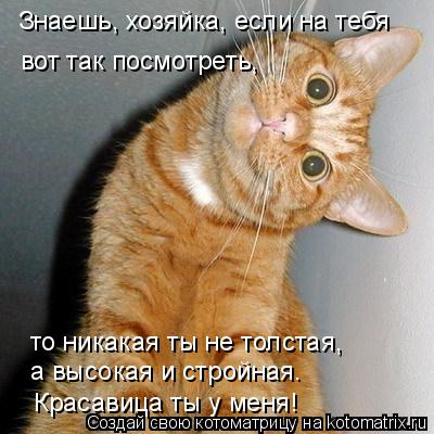 Котоматрица: Знаешь, хозяйка, если на тебя  вот так посмотреть,  то никакая ты не толстая, а высокая и стройная. Красавица ты у меня!