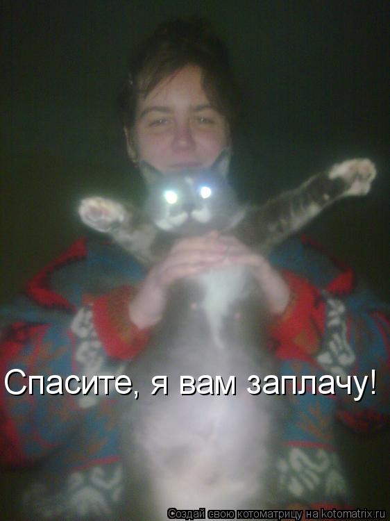 Котоматрица: Спасите, я вам заплачу!
