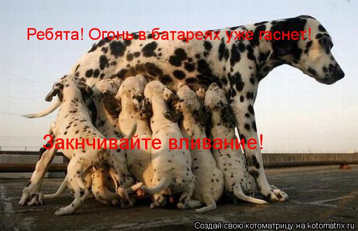 Котоматрица: Ребята! Огонь в батареях уже гаснет! Закнчивайте вливание!
