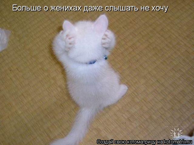 Котоматрица: Больше о женихах даже слышать не хочу