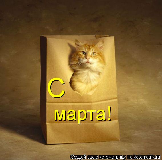 С марта!... Котоматрица: С марта!
