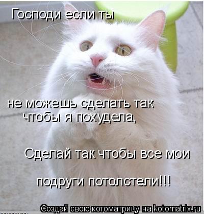 Котоматрица: Господи если ты не можешь сделать так чтобы я похудела, Сделай так чтобы все мои подруги потолстели!!!