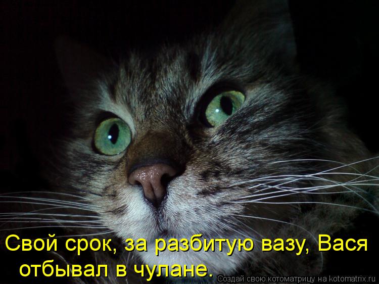 Котоматрица: Свой срок, за разбитую вазу, Вася отбывал в чулане.