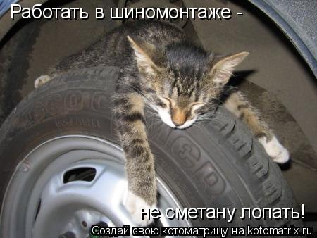 Котоматрица: Работать в шиномонтаже - не сметану лопать!