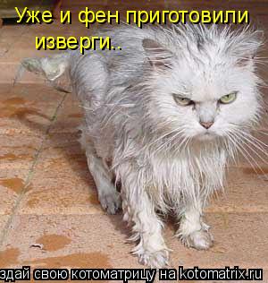 Уже и фен приготовили изверги..... Котоматрица: Уже и фен приготовили изверги..