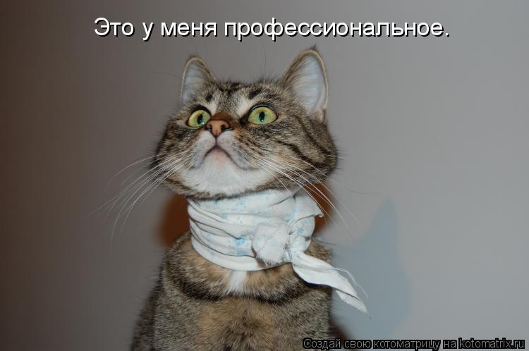Котоматрица: Это у меня профессиональное.