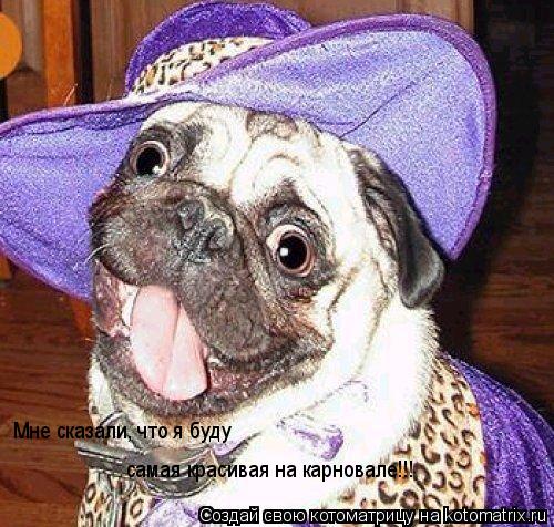 Котоматрица: Мне сказали, что я буду  самая красивая на карновале!!!