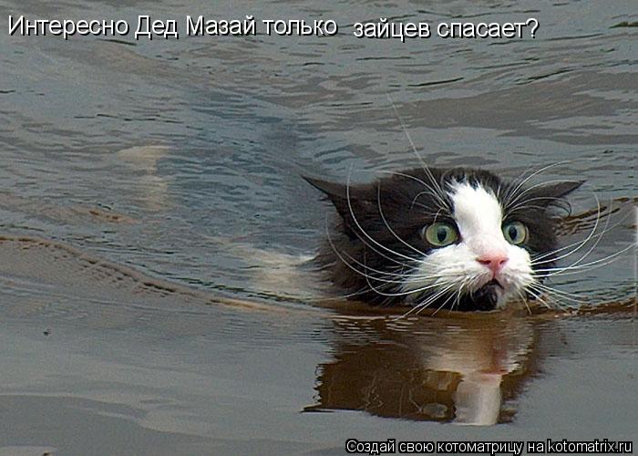 Котоматрица: Интересно Дед Мазай только зайцев спасает?