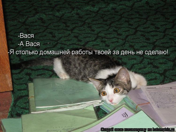 Котоматрица: -Вася -А Вася -Я столько домашней работы твоей за день не сделаю!