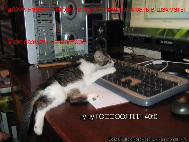 Котоматрица: ну,ну ГОООООЛЛЛЛ 40:0 дАУЖ надоело играть в футбол,надо сыграть в шахматы  Мозг размять на мастере Мозг размять на мастере