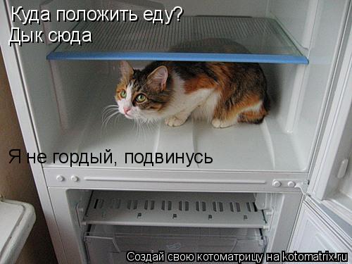 Котоматрица: Куда положить еду? Дык сюда Я не гордый, подвинусь