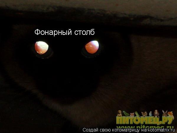 Котоматрица: Фонарный столб