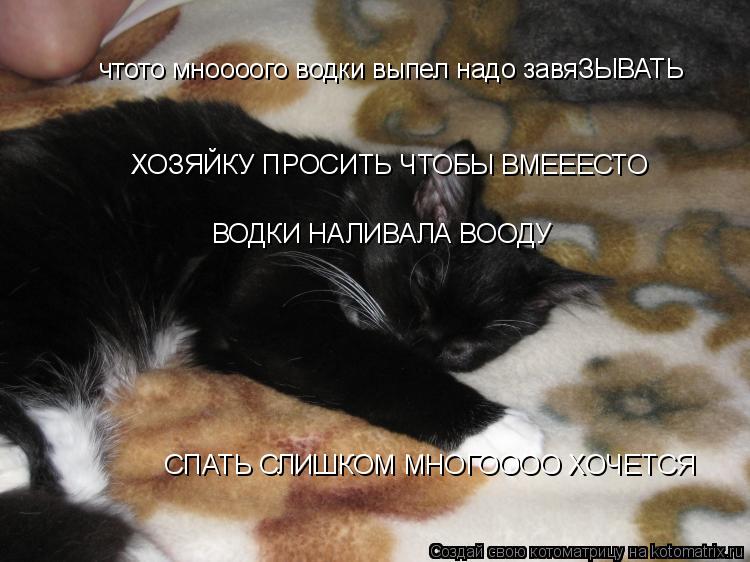 Котоматрица: чтото мноооого водки выпел надо завяЗЫВАТЬ СПАТЬ СЛИШКОМ МНОГОООО ХОЧЕТСЯ ХОЗЯЙКУ ПРОСИТЬ ЧТОБЫ ВМЕЕЕСТО  ВОДКИ НАЛИВАЛА ВООДУ
