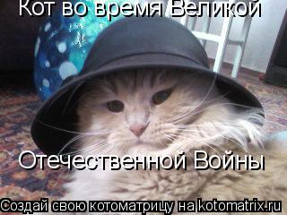 Котоматрица: Кот во время Великой Отечественной Войны