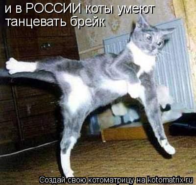 Котоматрица: и в РОССИИ коты умеют танцевать брейк