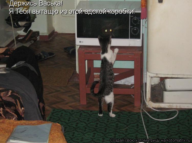 Котоматрица: Держись Васька! Я Тебя вытащю из этой адской коробки!