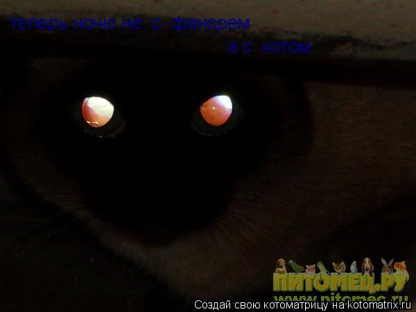 Котоматрица: теперь ночю не  с  фанорем а с  котом