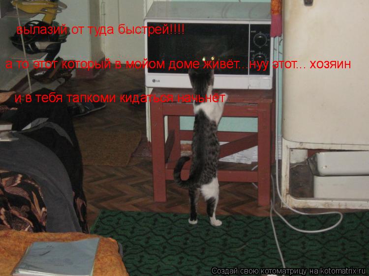 Котоматрица: вылазий от туда быстрей!!!! а то этот который в мойом доме живёт...нуу этот... хозяин  и в тебя тапкоми кидаться начьнёт а то этот который в мойо