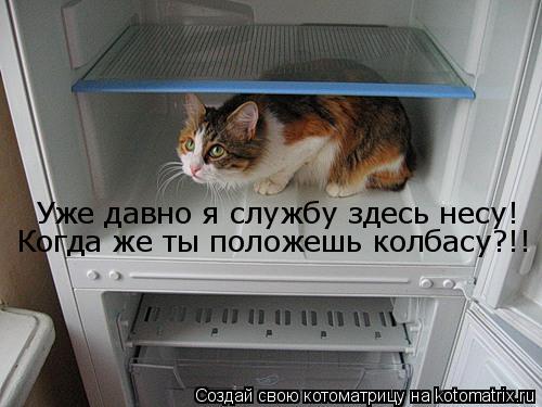 Котоматрица: Уже давно я службу здесь несу! Когда же ты положешь колбасу?!!