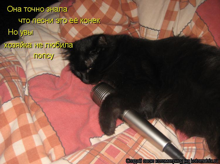 Котоматрица: Она точно знала что песни это её конек Но увы  хозяйка не любила  попсу