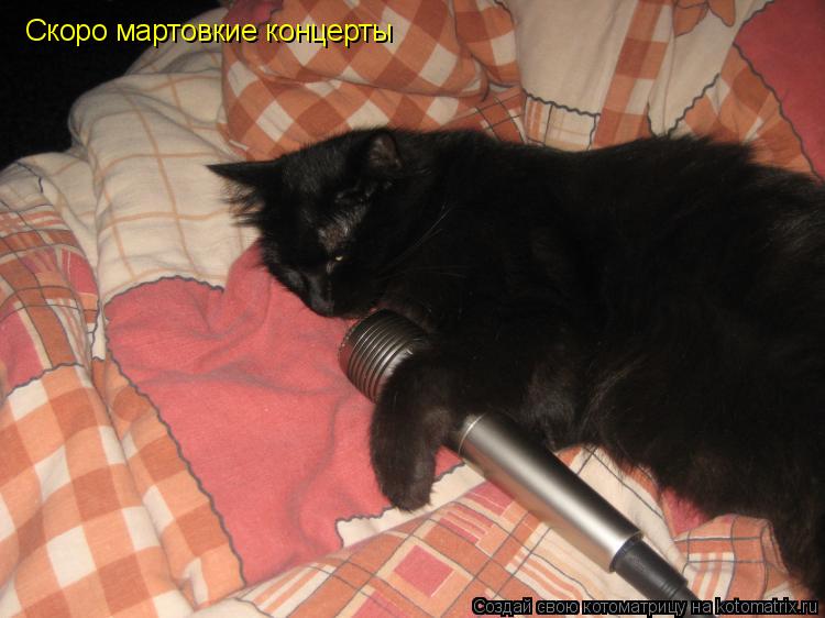 Котоматрица: Скоро мартовкие концерты