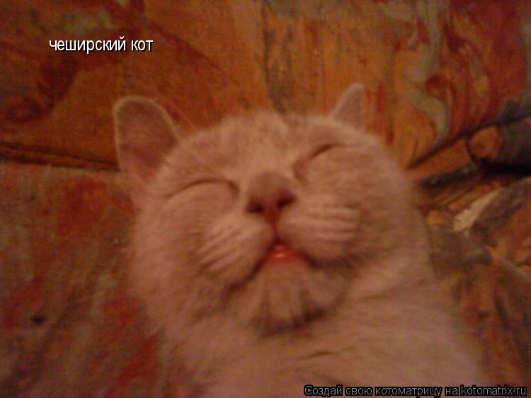 Котоматрица: чеширский кот