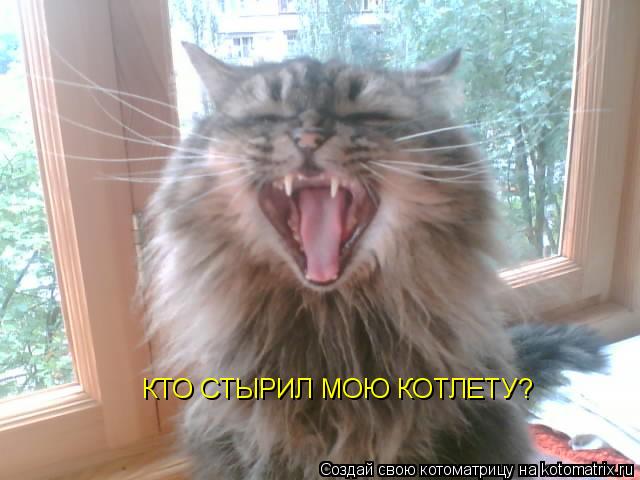 Котоматрица: КТО СТЫРИЛ МОЮ КОТЛЕТУ?