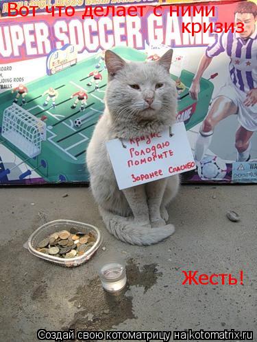 Котоматрица: Вот что делает с ними  кризиз Жесть!