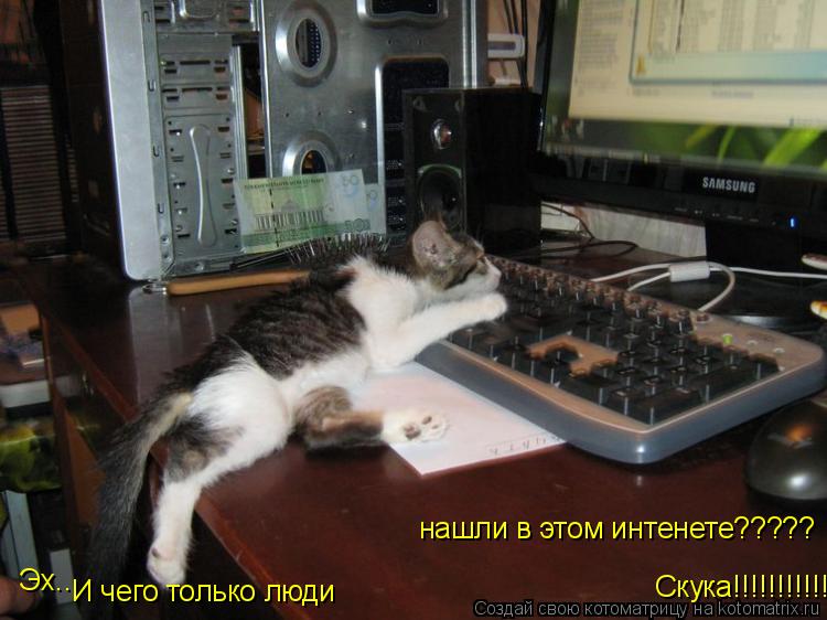 Котоматрица: И чего только люди нашли в этом интенете????? Скука!!!!!!!!!!!!!!!!!!! Эх...