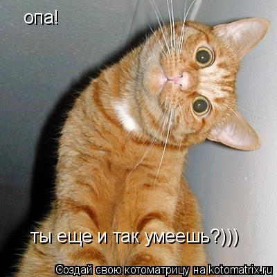 Котоматрица: опа! ты еще и так умеешь?)))