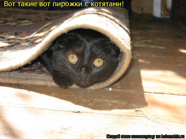 Котоматрица: Вот такие вот пирожки с котятами!