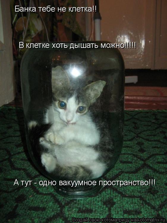 Котоматрица: Банка тебе не клетка!! В клетке хоть дышать можно!!!!! А тут - одно вакуумное пространство!!!