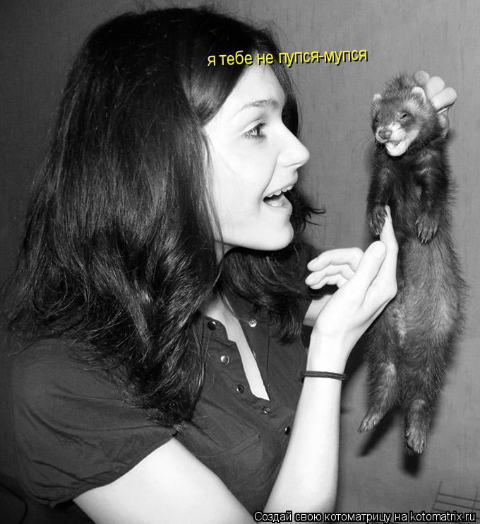 Котоматрица: я тебе не пупся-мупся