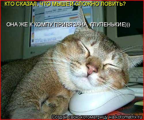 Котоматрица: КТО СКАЗАЛ, ЧТО МЫШЕЙ СЛОЖНО ЛОВИТЬ? ОНА ЖЕ К КОМПУ ПРИВЯЗАНА, ГЛУПЕНЬКИЕ)))