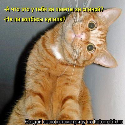 Котоматрица: -А что это у тебя за пакеты за спиной?  -Не ли колбасы купила?