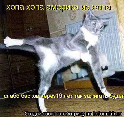 Котоматрица: хопа хопа америка из жопа слабо басков через19 лет так зажигать будет