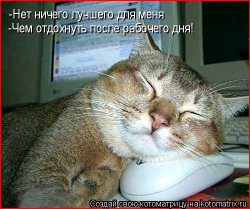 Котоматрица: -Нет ничего лучшего для меня -Чем отдохнуть после рабочего дня!