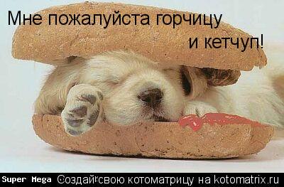 Котоматрица: Мне пожалуйста горчицу и кетчуп!