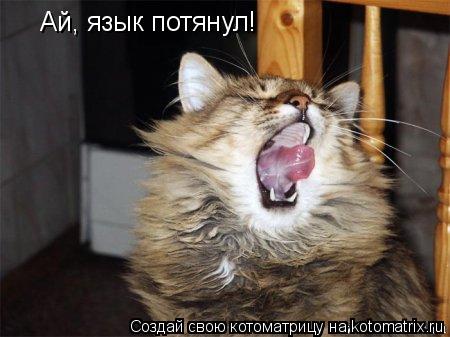 Котоматрица: Ай, язык потянул!