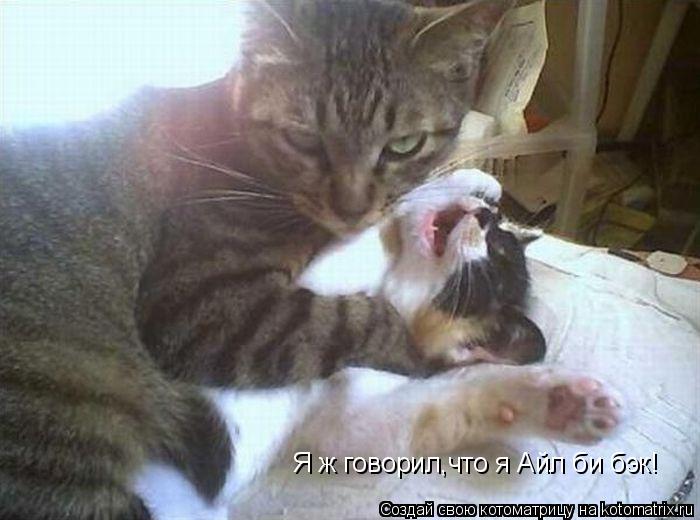 Котоматрица: Я ж говорил,что я Айл би бэк!