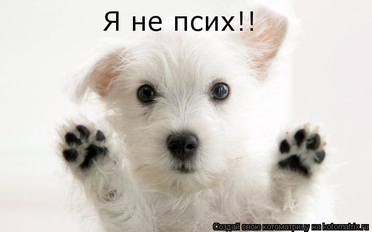 Котоматрица: Я не псих!!